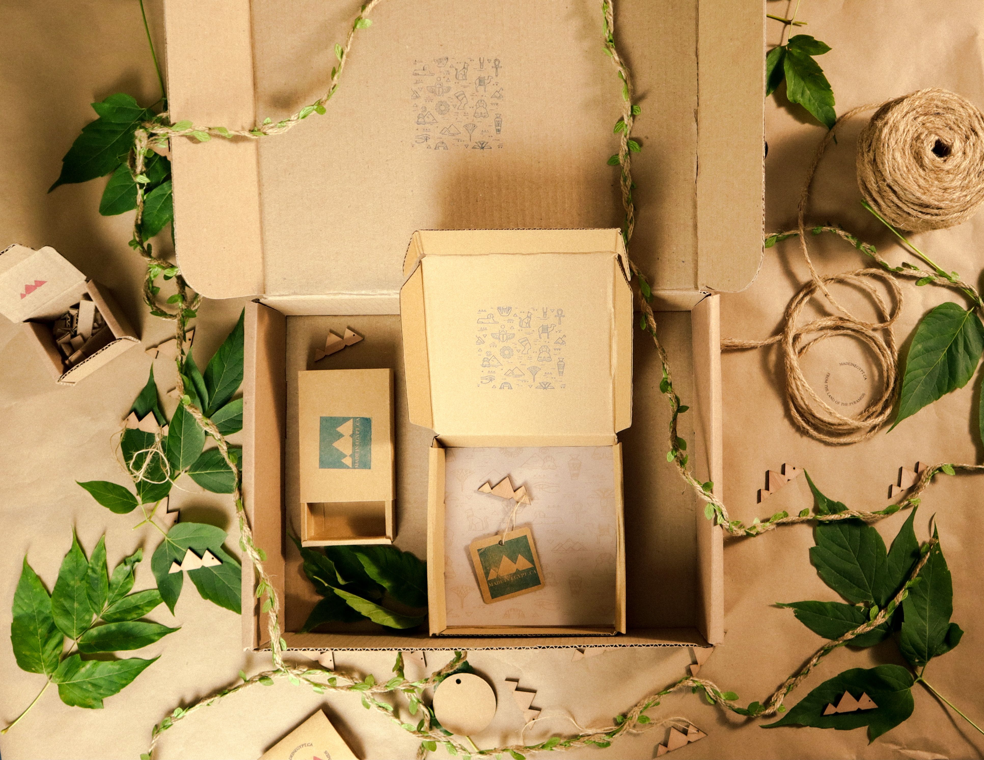 Eco Packaging Biodegradable Board